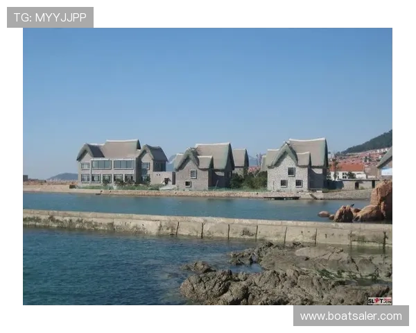 半岛体育入口官方登录入口详细介绍及使用技巧分享