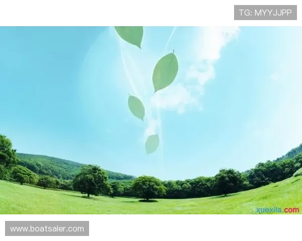 星空体育下载平台推荐及安全安装详细流程介绍 星空体育下载平台推荐及安全安装详细流程介绍